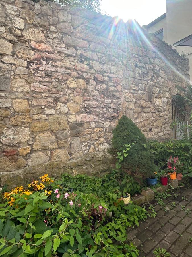 Garden Loft Haven